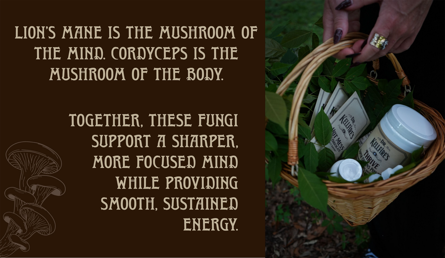 Mushroom Chocolate Bar Lions Mane, Cordyceps, Reishi, Chaga Mushrooms