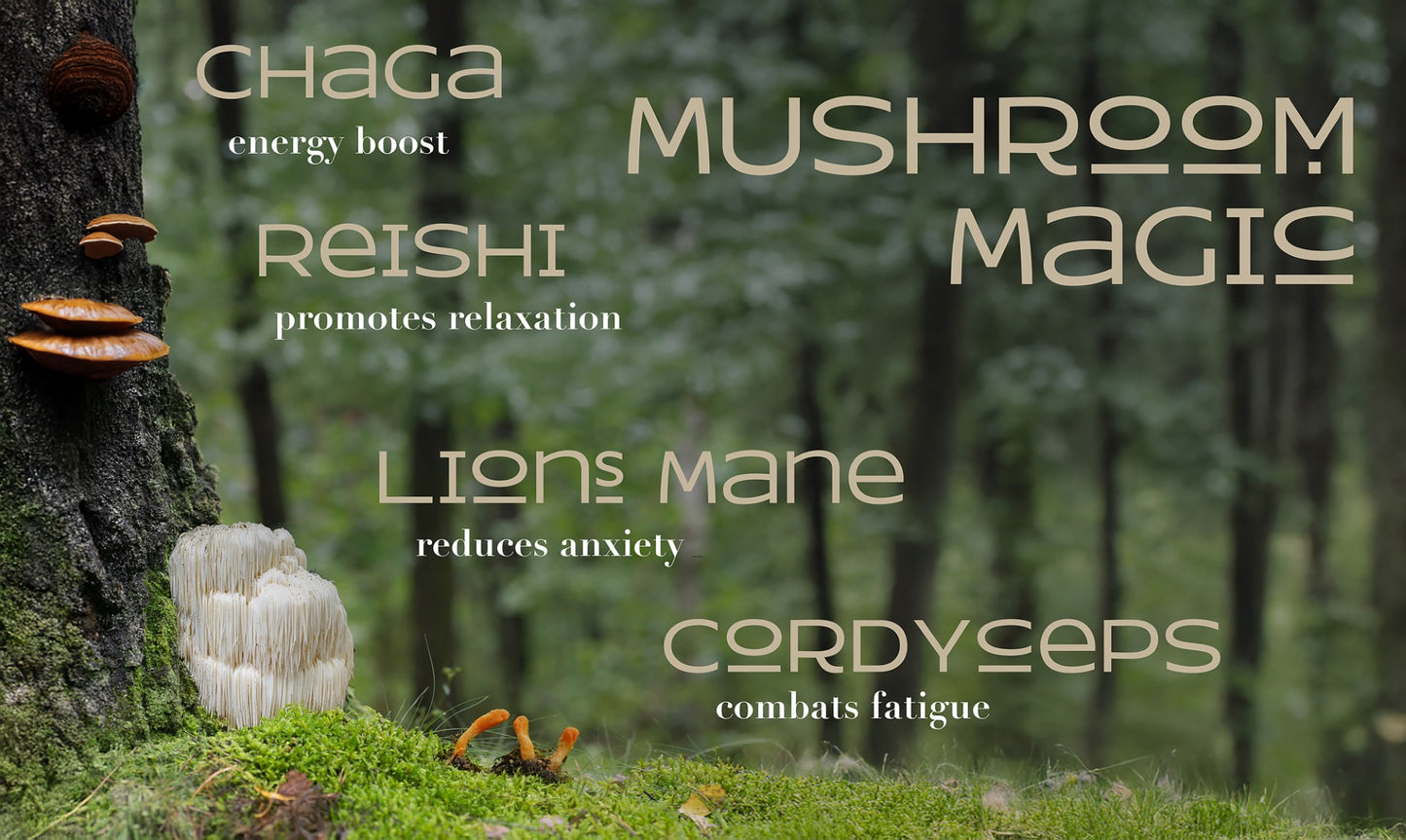 Mushroom Chocolate Bar Lions Mane, Cordyceps, Reishi, Chaga Mushrooms